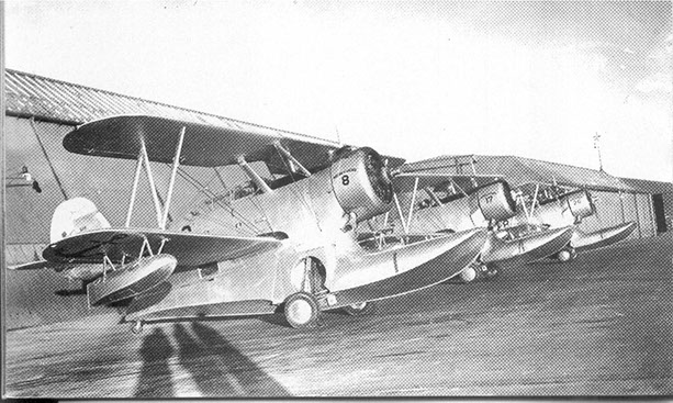 grumman%20j2f2%20duck%20armada%20argentina2.jpg